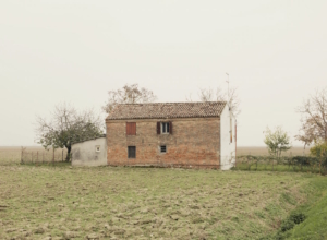 NASCE A BOLOGNA FOTO/TERRITORIO